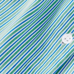 Chemise LOEWE viscose soie rayures vert bleu